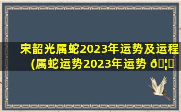 宋韶光属蛇2023年运势及运程(属蛇运势2023年运势 🦆 详解)